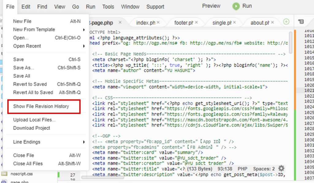 Show File Revision History